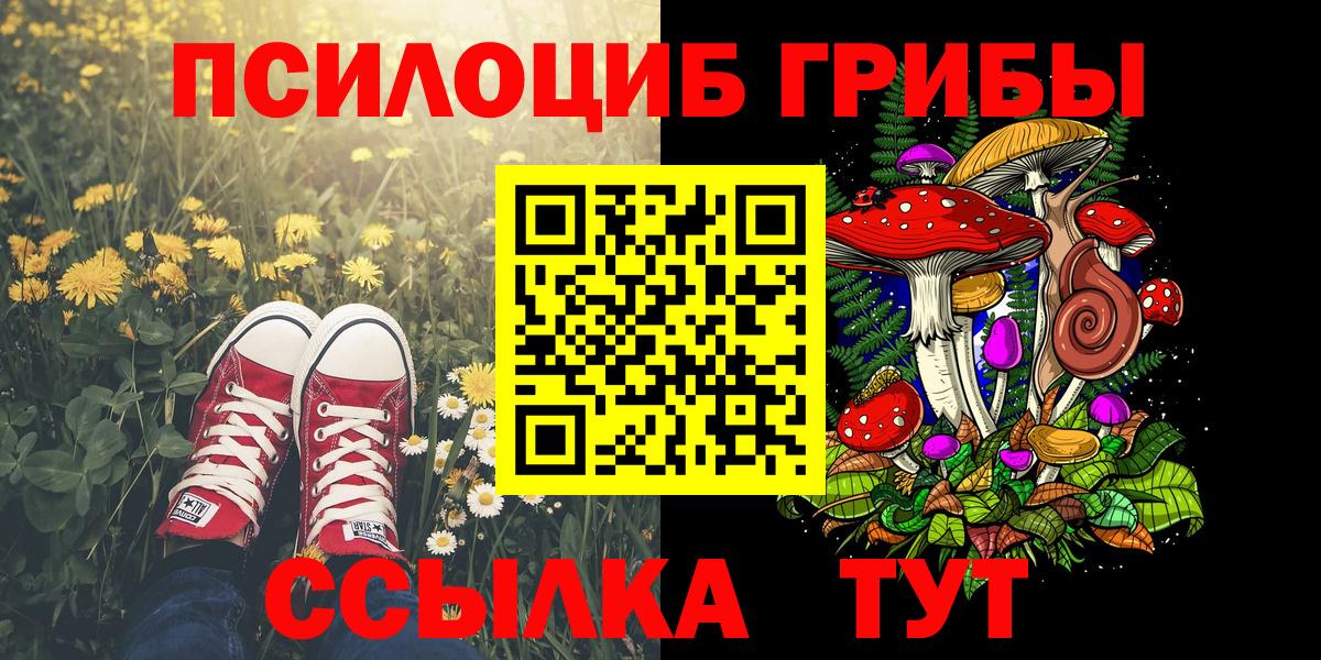 Псилоцибиновые грибы ЛСД Кубинка