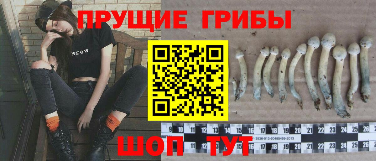 Кубинка  Галлюциногенные грибы GOLDEN TEACHER  Вход с VPN 